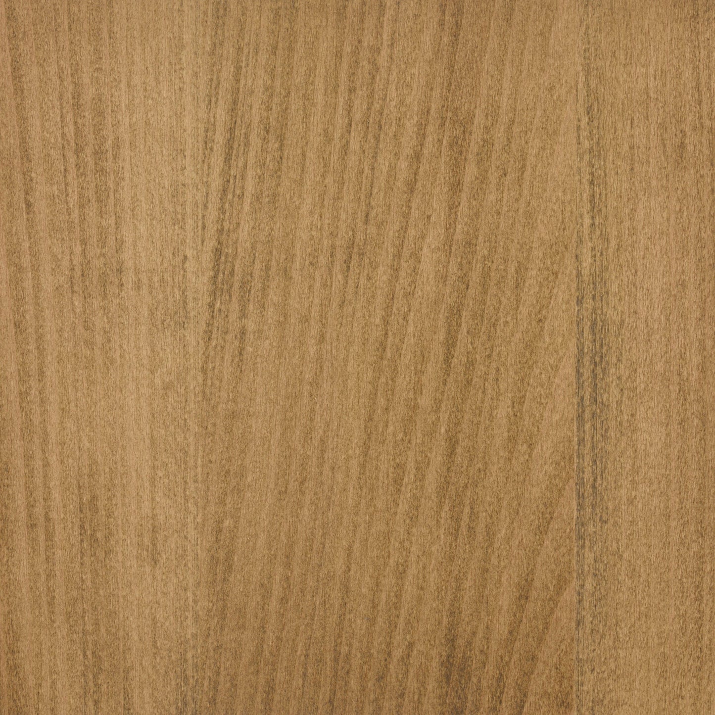 Beech
