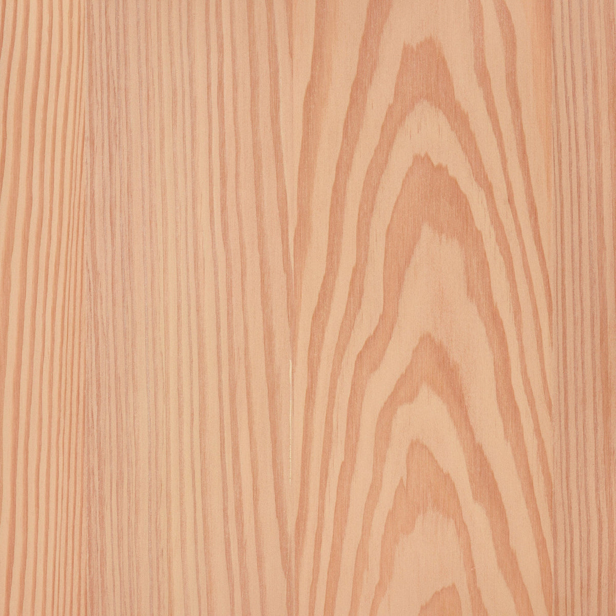 Larch