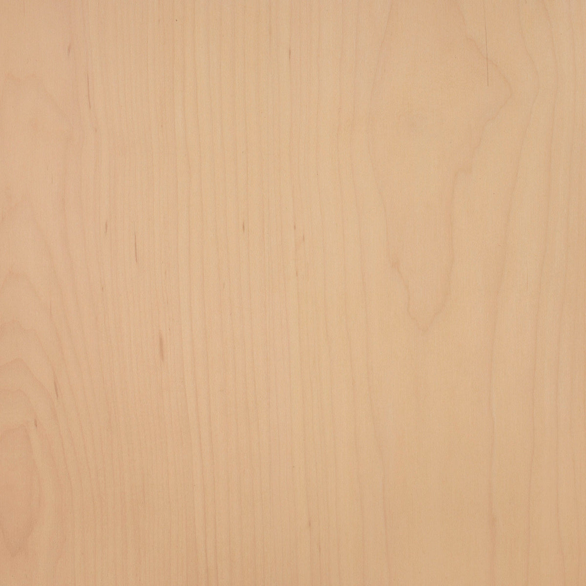 Maple